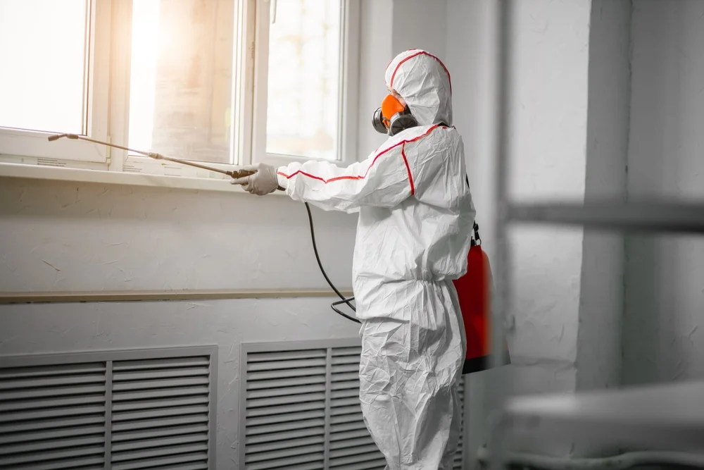 Professional mold remediation services in Arcanum, OH